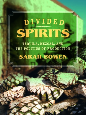 cover image of Divided Spirits